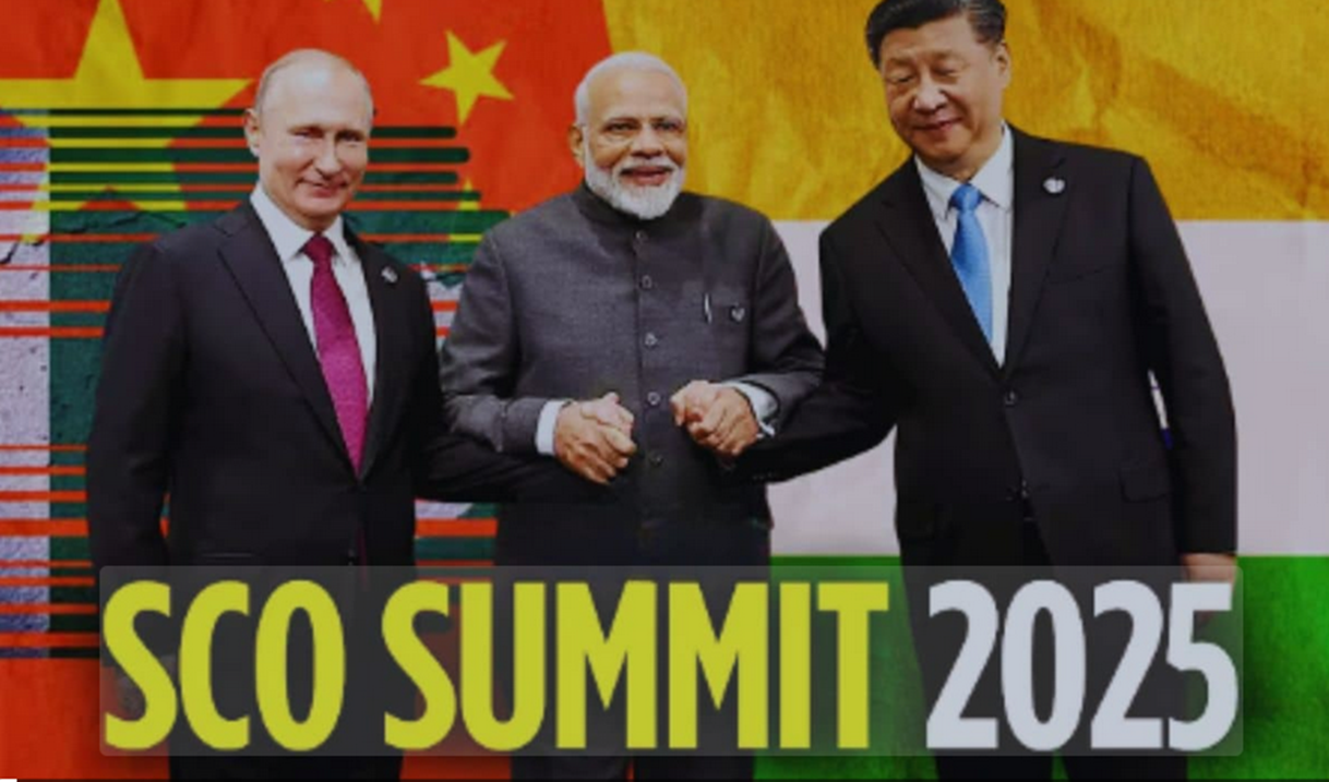 Shanghai visual data 8