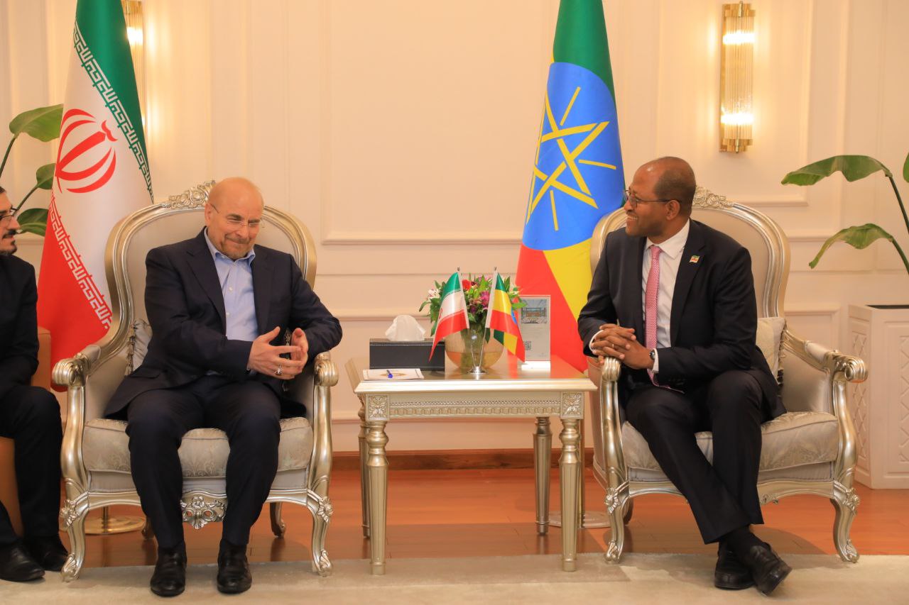 Speakers of the Parliaments of Iran and Ethiopia