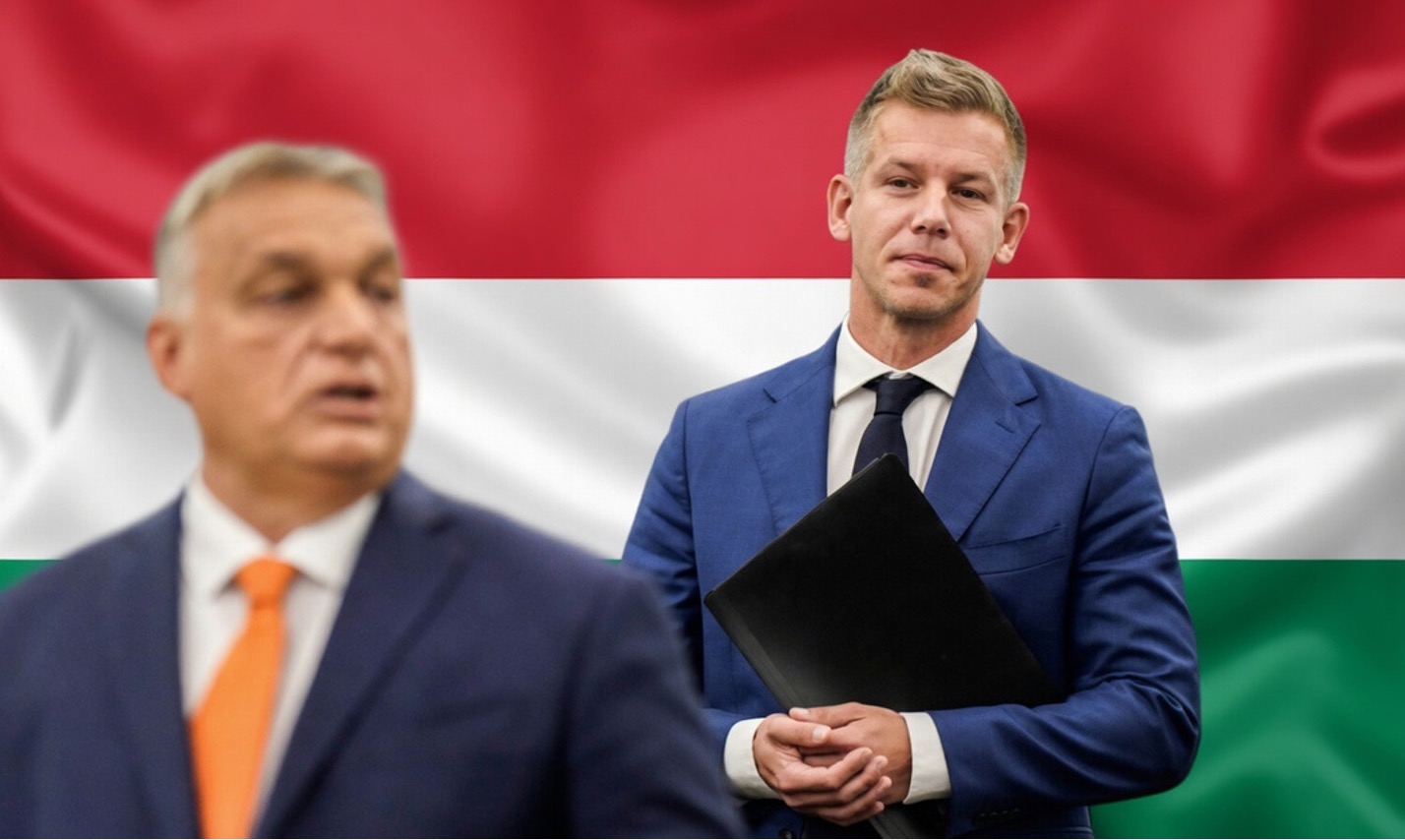 Parliamentary elections in Hungary